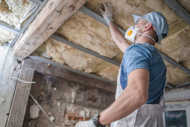 Types of Insulation We Offer in Lexington, VA